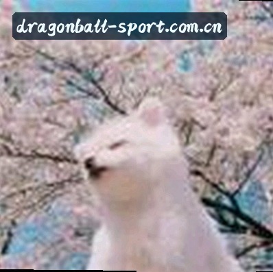 张凯文
