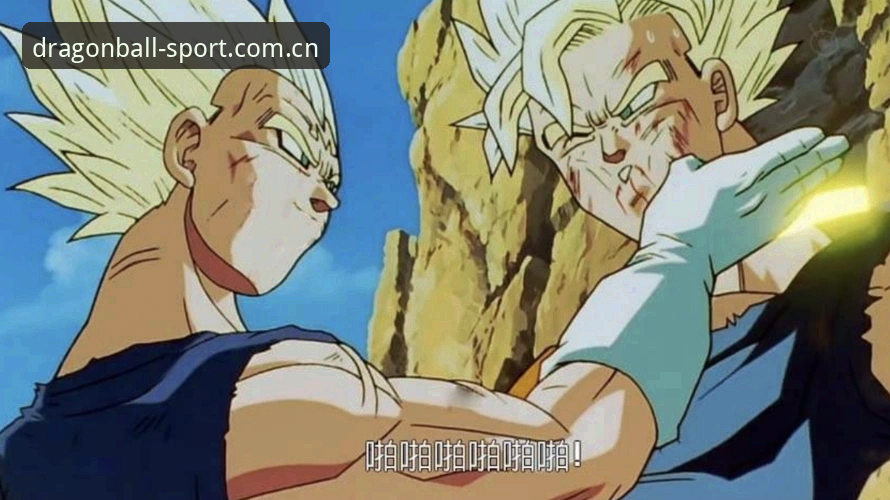 龙珠体育官网使用教程：从下载到观赛的完整指南